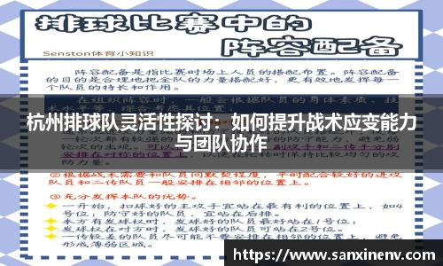 杭州排球队灵活性探讨：如何提升战术应变能力与团队协作
